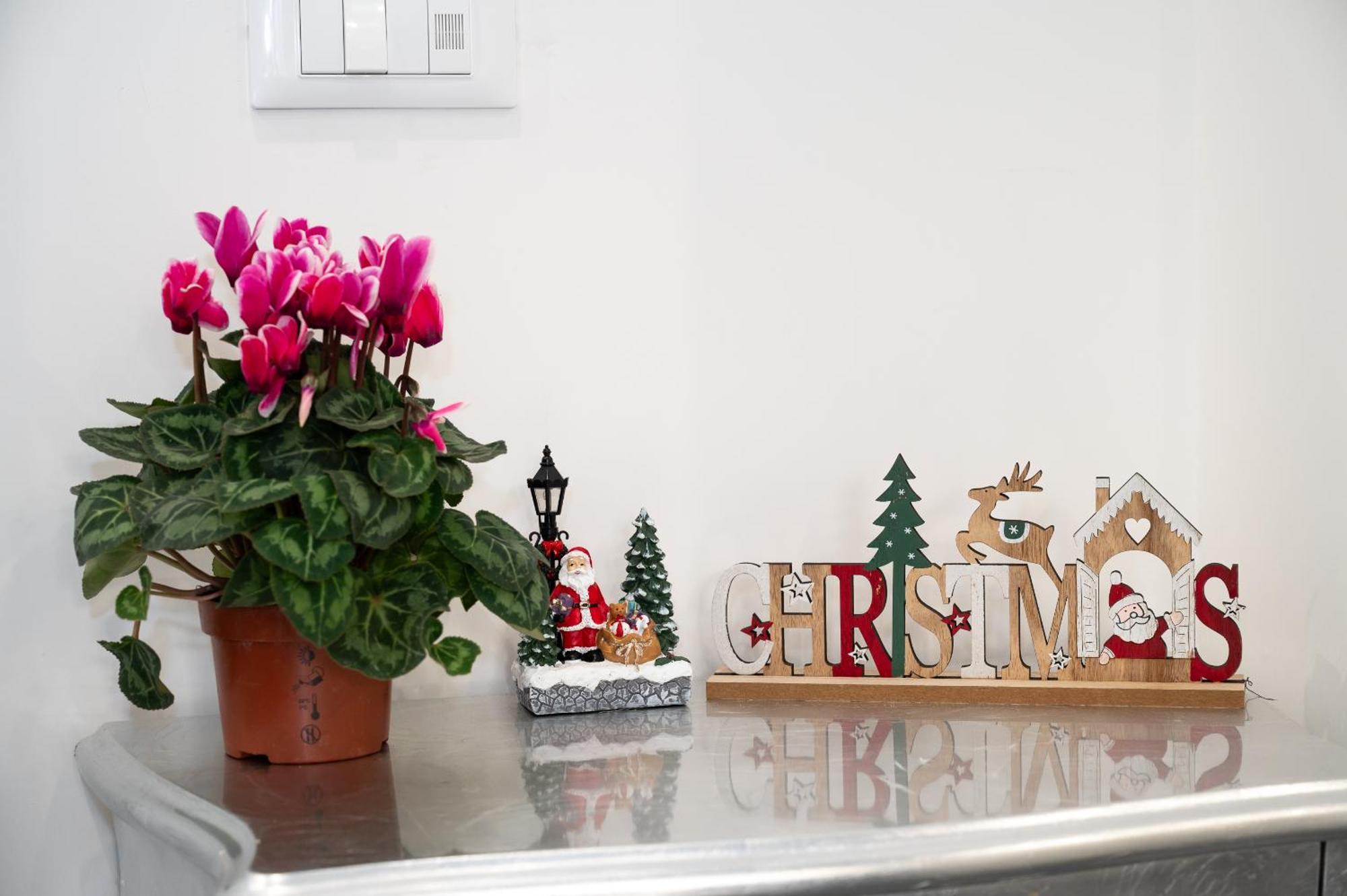 St. Peter Boutique Apt روما المظهر الخارجي الصورة